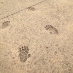 Stud Park Reserve2.JPG