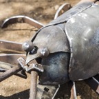 Yabbie2.jpg