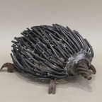 Echidna 1.JPG